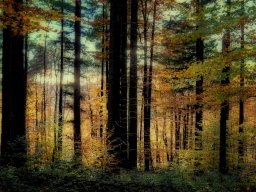 2026 National 1 papier nature